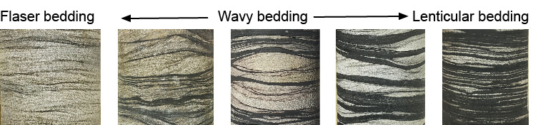 In many coarsening-upward successions of the Eastern Kentucky Coal Field, light gray (333) and dark gray (322.5) lenticular and wavy beds grade upward into gray sandstone (543.5) wavy and flaser beds.